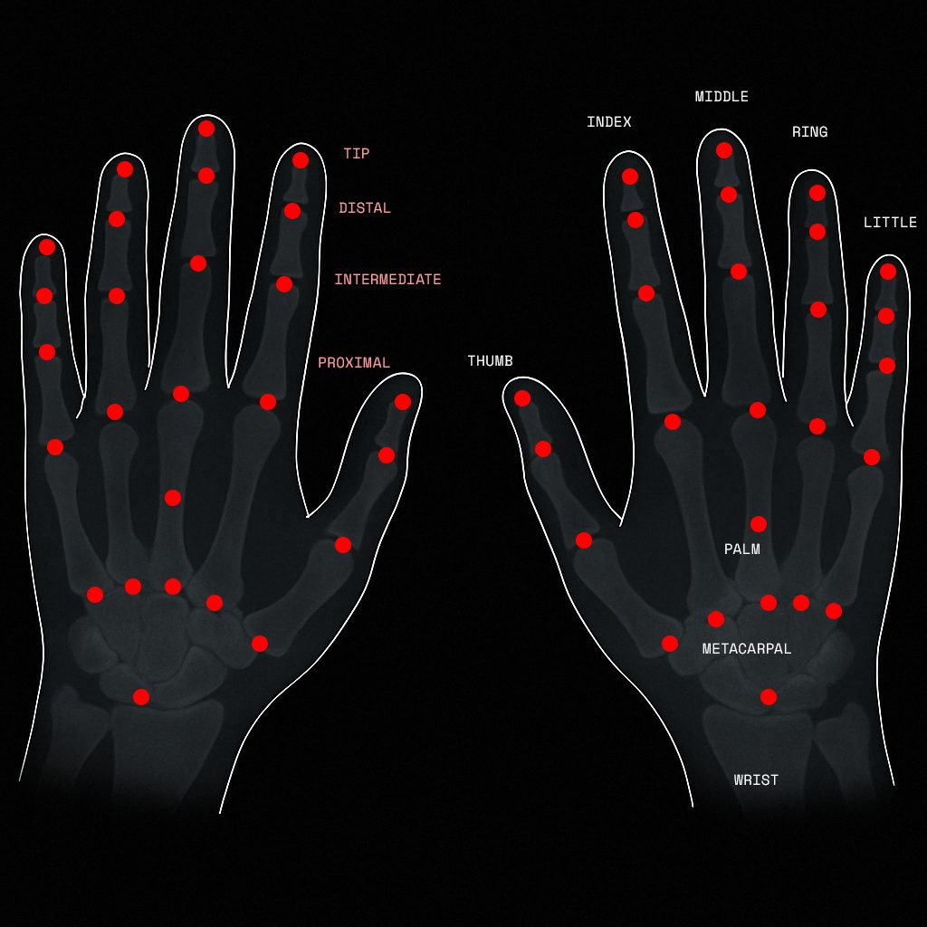 Hand & Finger Tracking